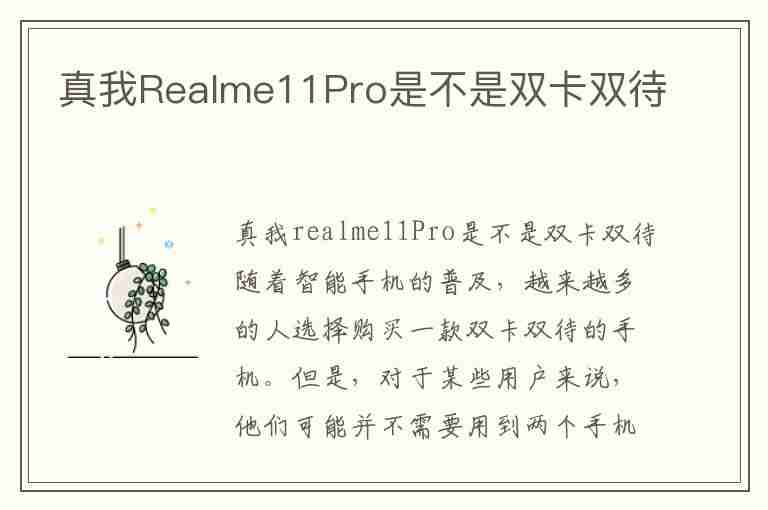 真我Realme11Pro是不是双卡双待